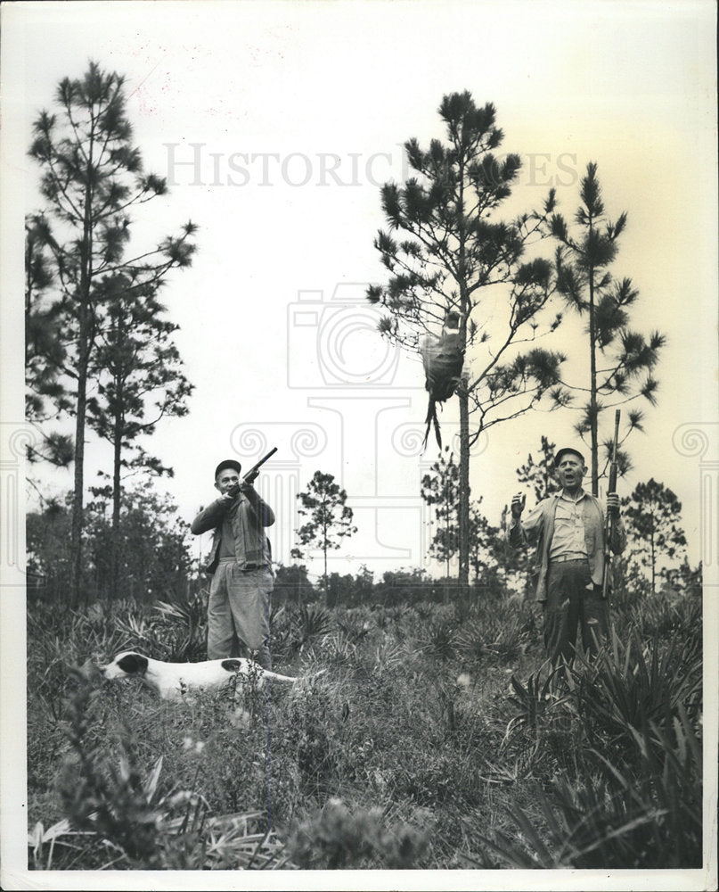 1961 Press Photo sunny Florida glass Pheasant wizened - Historic Images