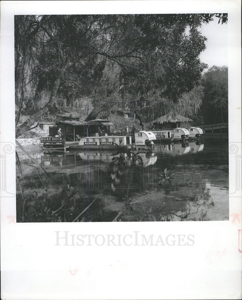 1960 Press Photo Skipper water belm sunny day swim - Historic Images