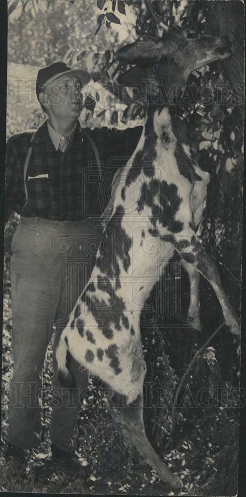 1947 Press Photo Harry Beeman Pinto Deer Hunt Gunnison - Historic Images