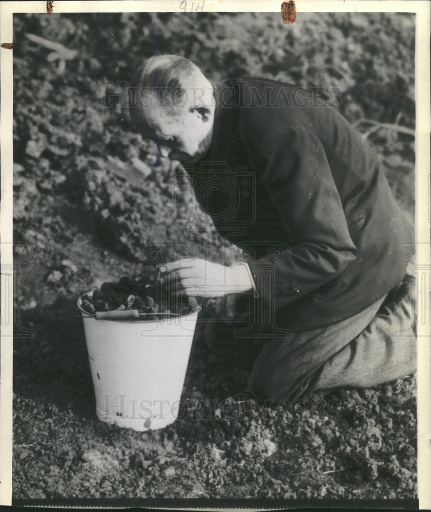 1945 Press Photo Berlin Clinder dump Coal Hnad Knee Men - Historic Images