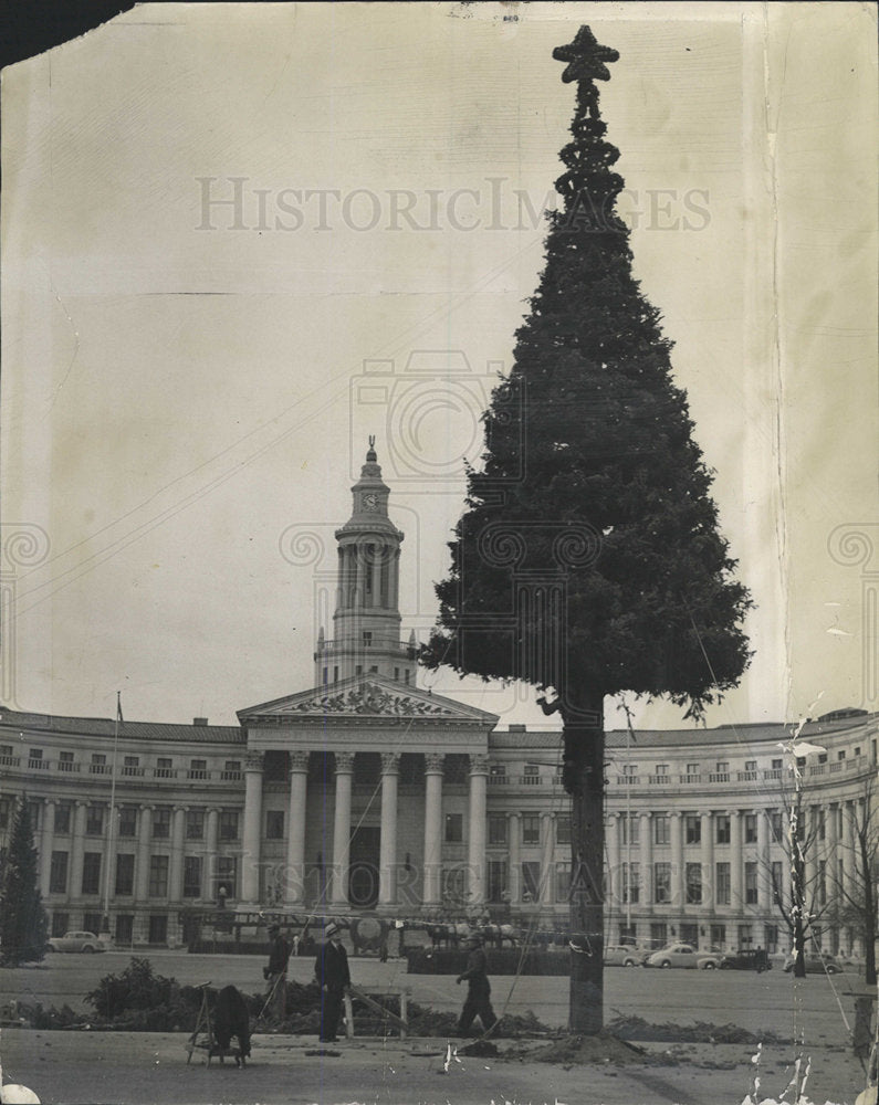 1939 Press Photo Denve Yuletide Christmas Tree Civic - Historic Images