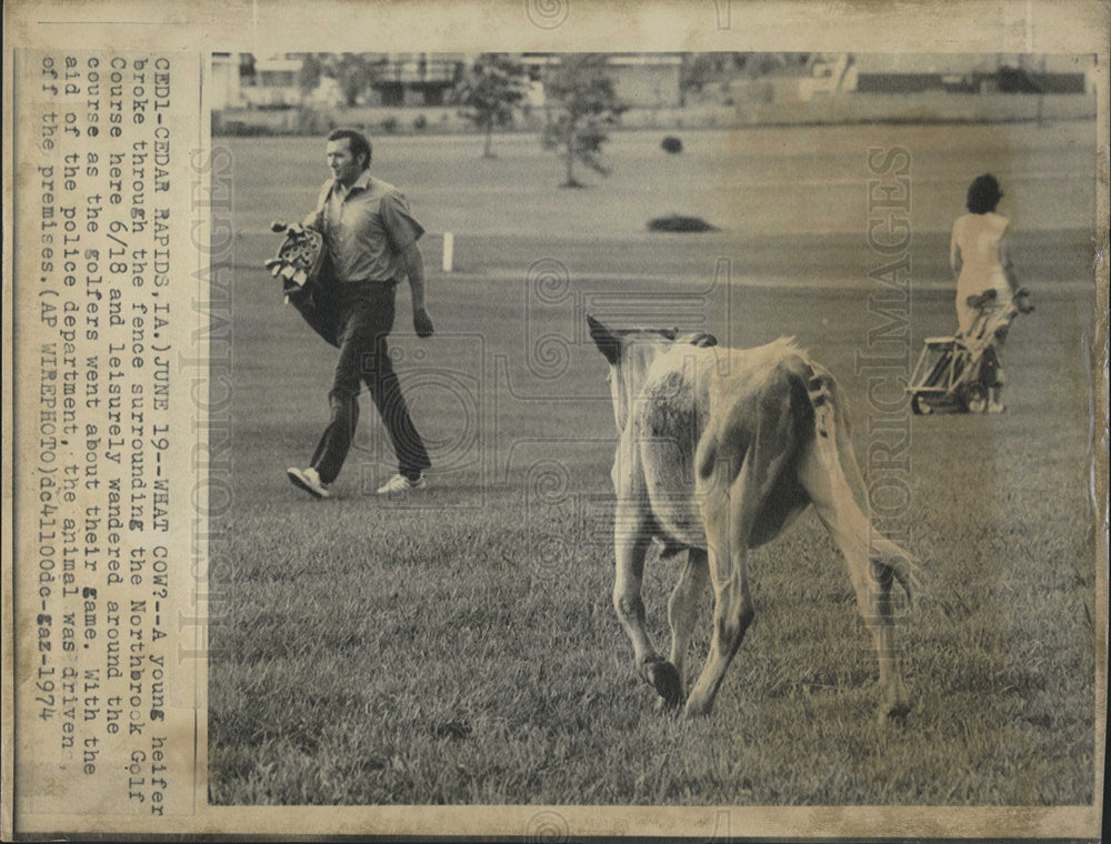 1974 Press Photo Northbrook Golf Course Players Chicago - Historic Images