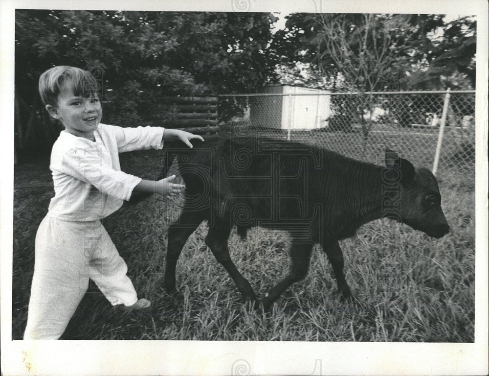 1973 Press Photo Three Year Old With Small Calf At Home - Historic Images