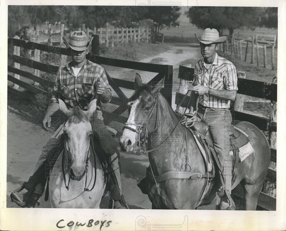 1967 Press Photo Cowboys Cattle Cow Rearing Chicago - Historic Images