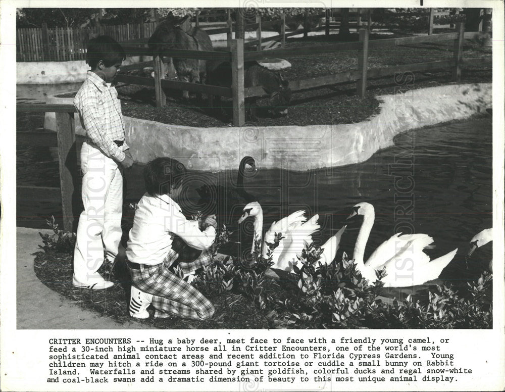 1980 Press Photo Critter Encounter Deer Camel Florida - Historic Images