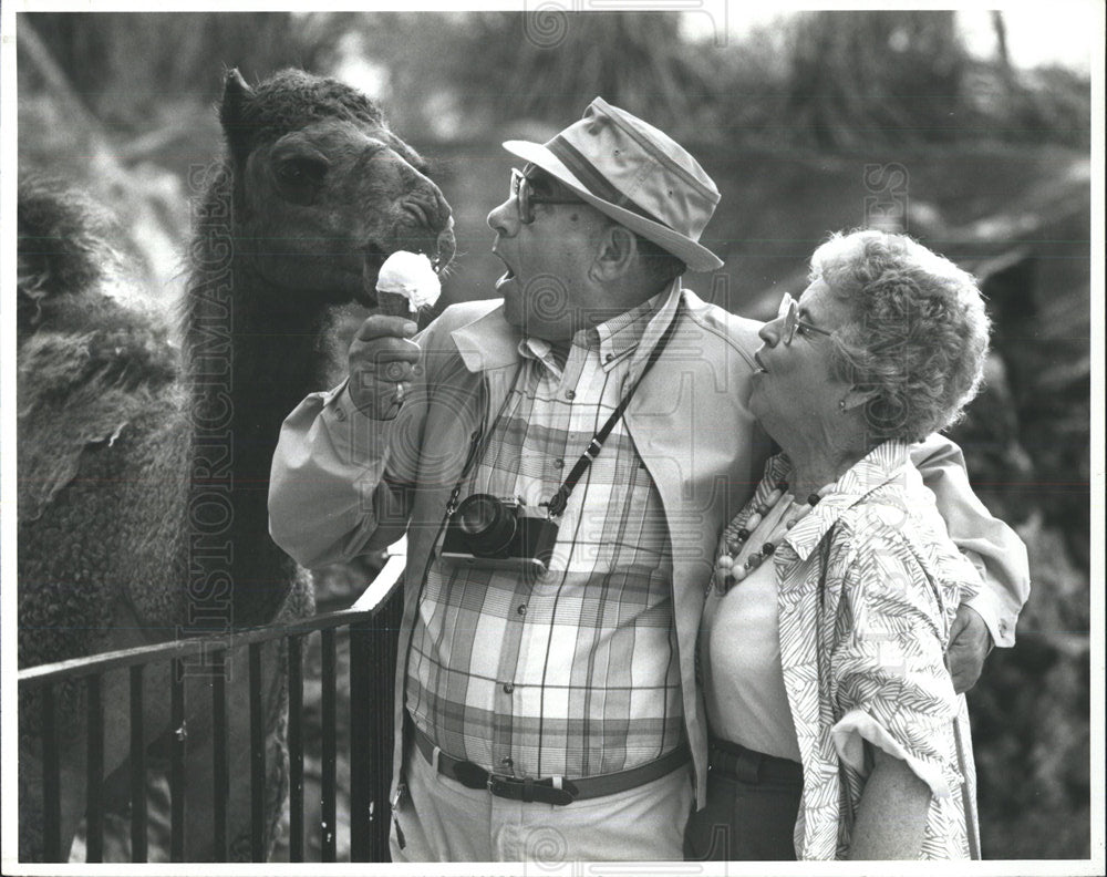 1988 Press Photo camel licks Animal Forest Gardens - Historic Images