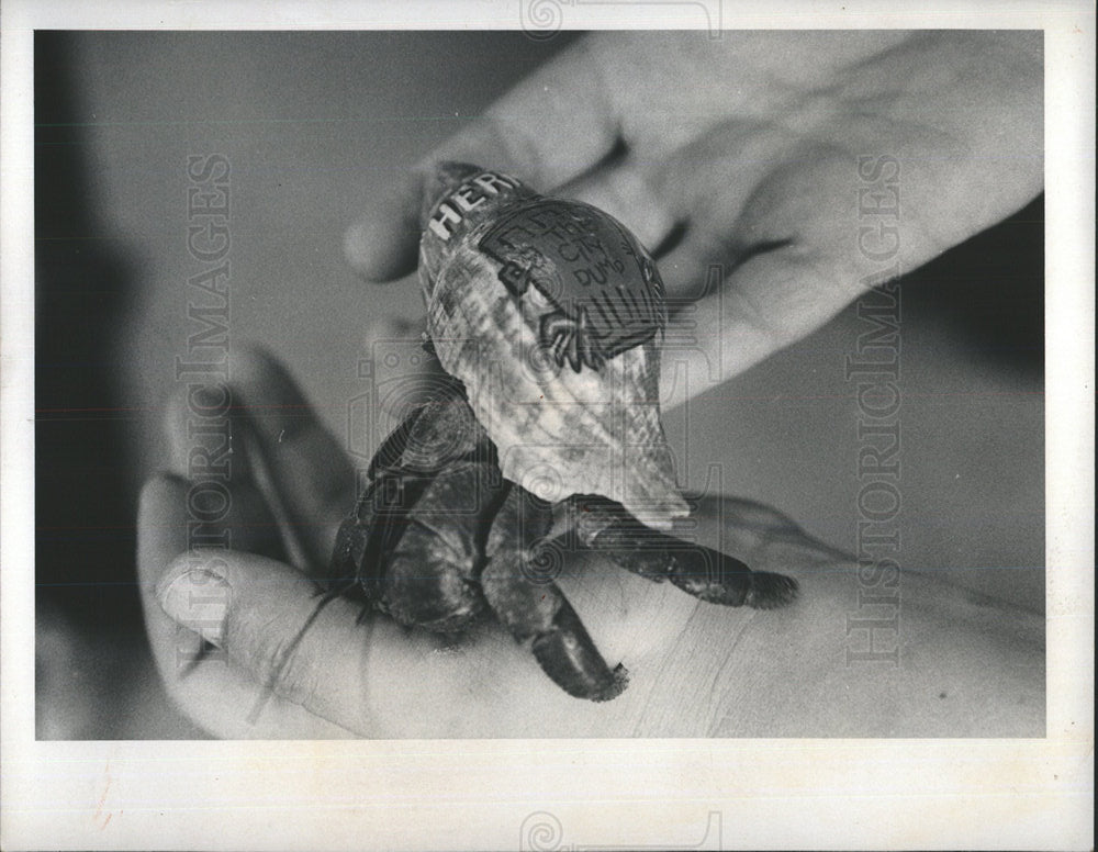 1976 Press Photo Hermie City Dump pinch mascot pet - Historic Images