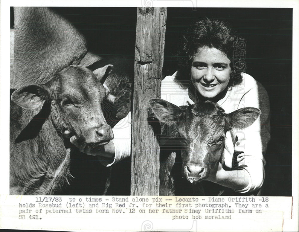 1983 Press Photo Diane Griffith twin calve Rosebud farm - Historic Images