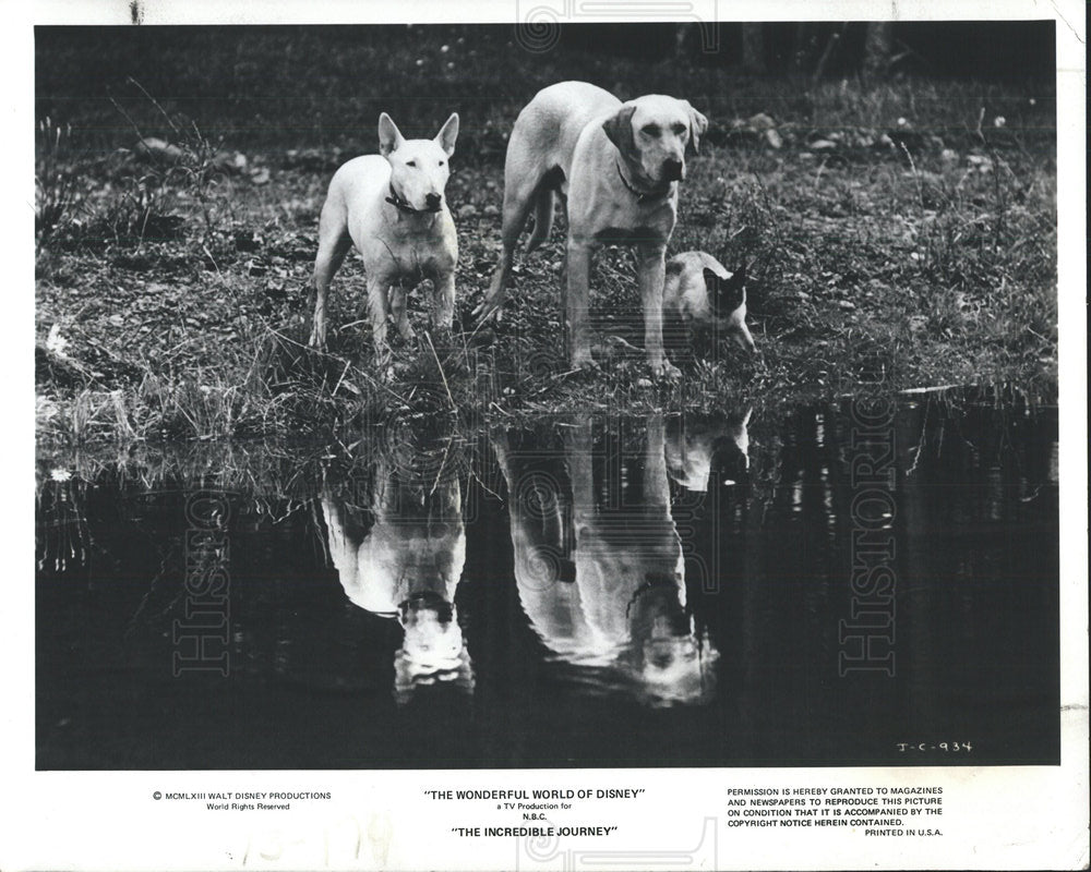 1977 Press Photo Watery Impasse Stops Trio - Historic Images