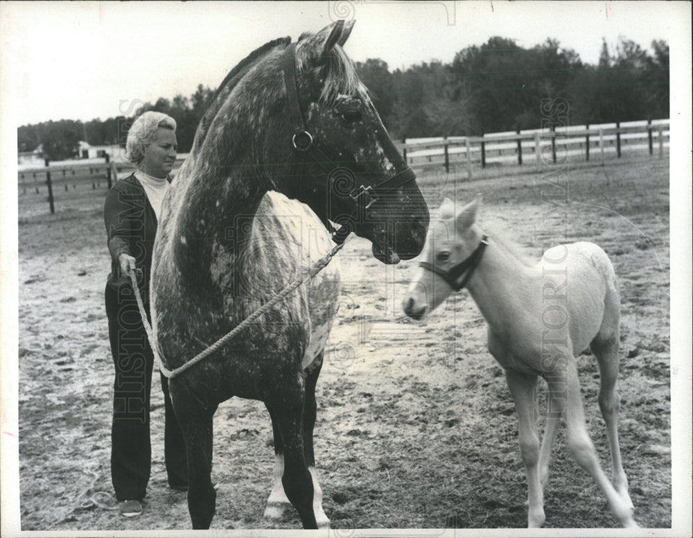 1973 Press Photo Horse Farms - Historic Images