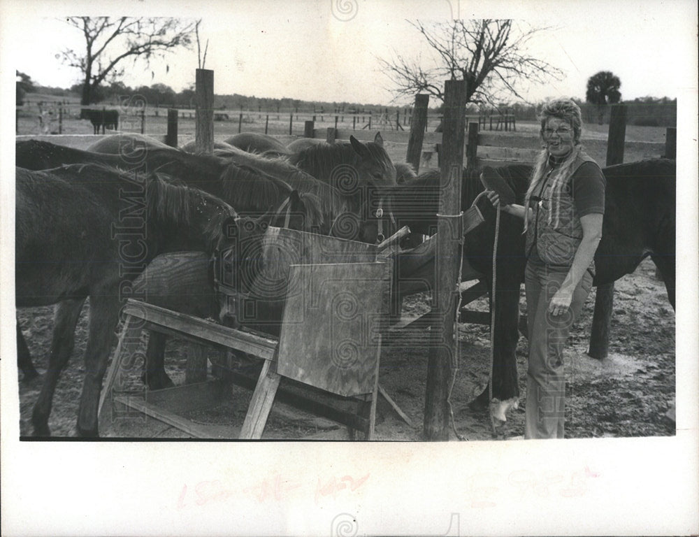 1973 Press Photo HORSE HANDLER LEE ENGLISH HORSE FARM - Historic Images