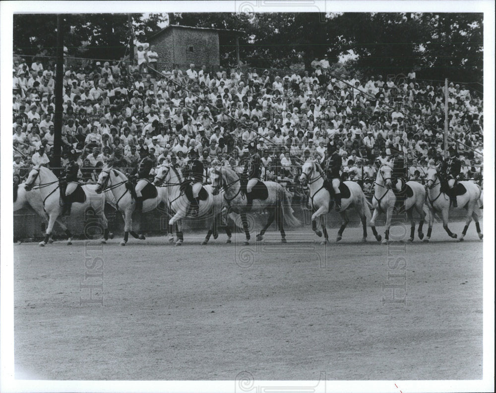1987 Press Photo Parade Lipizzaner Horses - Historic Images