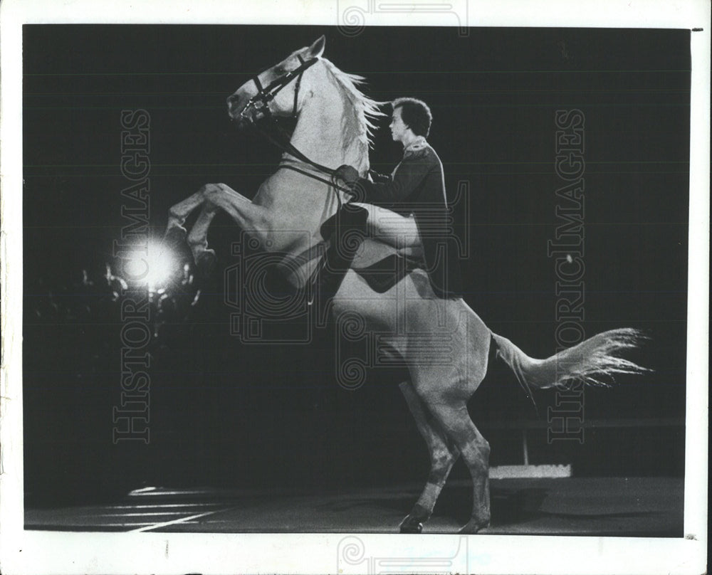 1983 Press Photo Lipizzan Stallion Horses - Historic Images