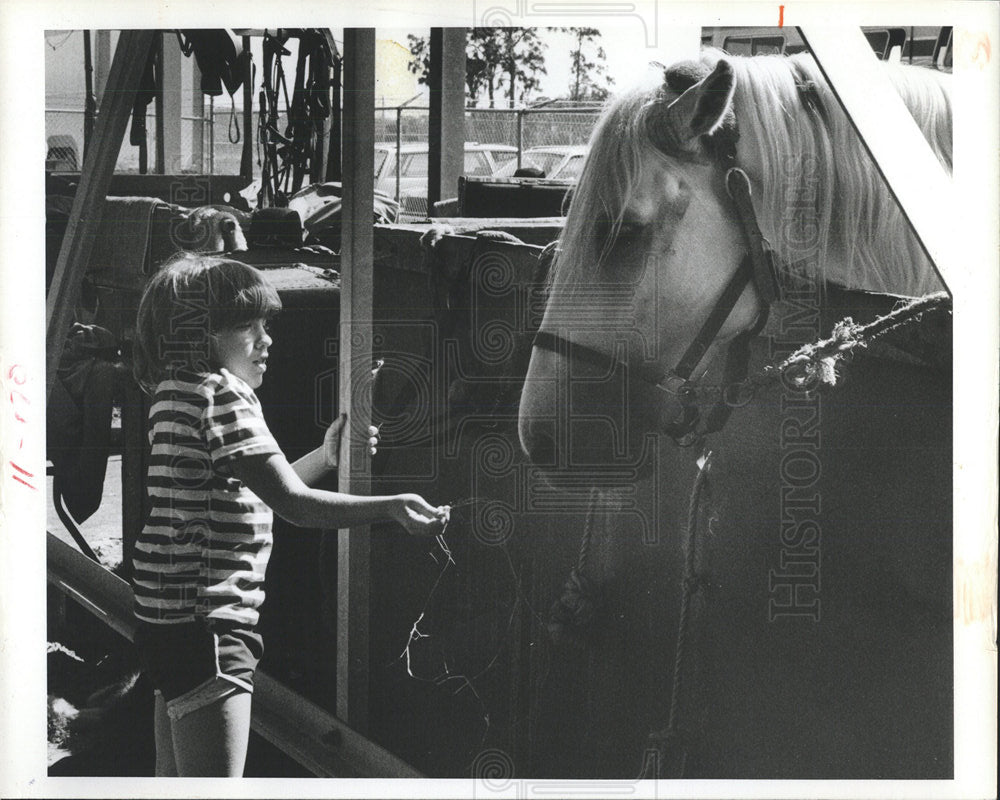 1982 Press Photo young admirer fear teeth stallion torn - Historic Images