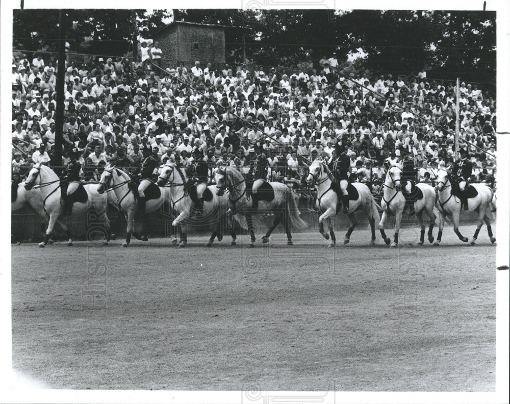 1993 Press Photo The Royal Lipizzan Stallions march - Historic Images