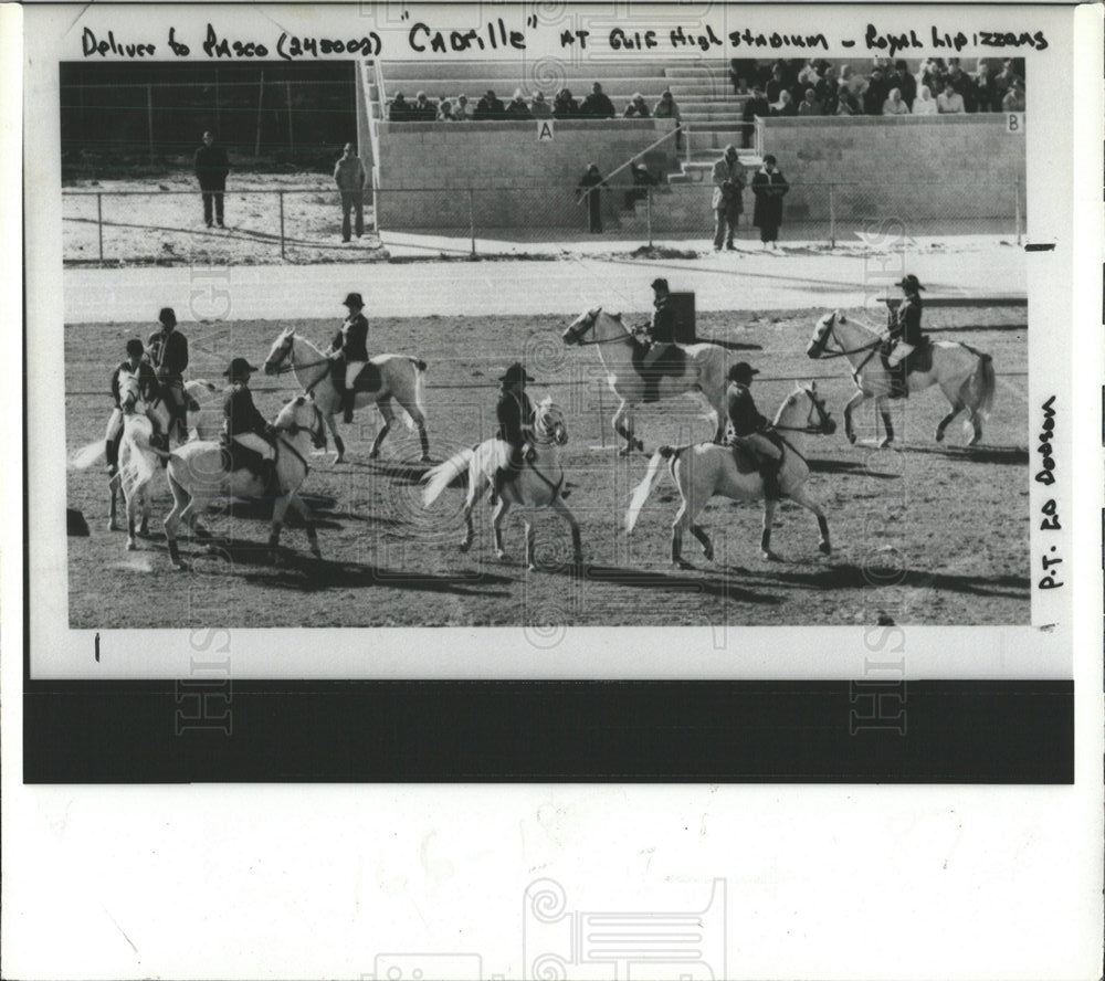 1980 Press Photo Lipizzan Breed Horse Show - Historic Images