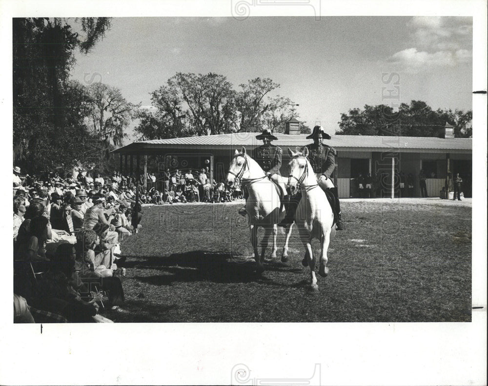 1980 Press Photo Lippizan stallions crowd Moon Lake - Historic Images