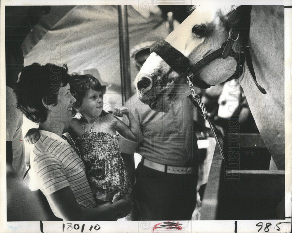 1979 Press Photo Royal Lipizzan Stallion Show - Historic Images