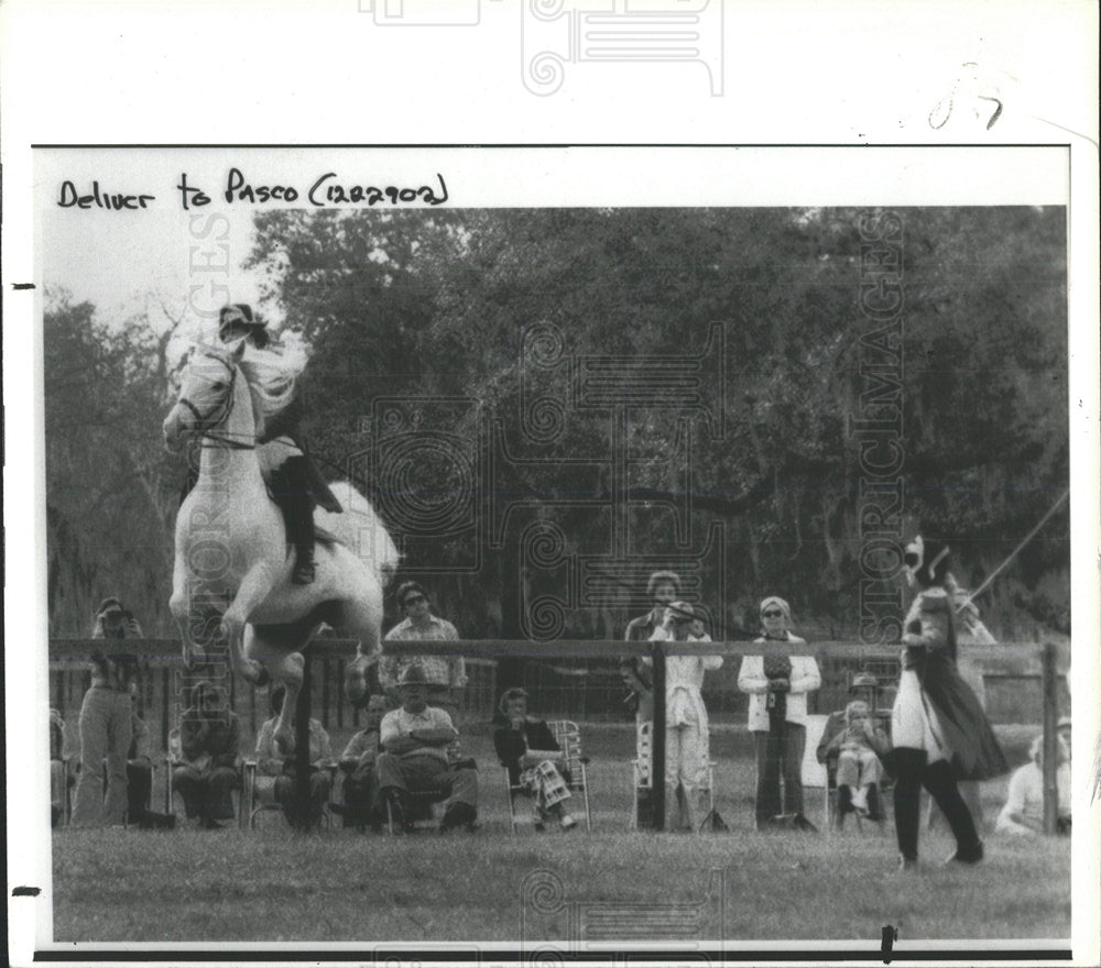 1979 Press Photo Lippizan mid-leap Little Moon Lake - Historic Images