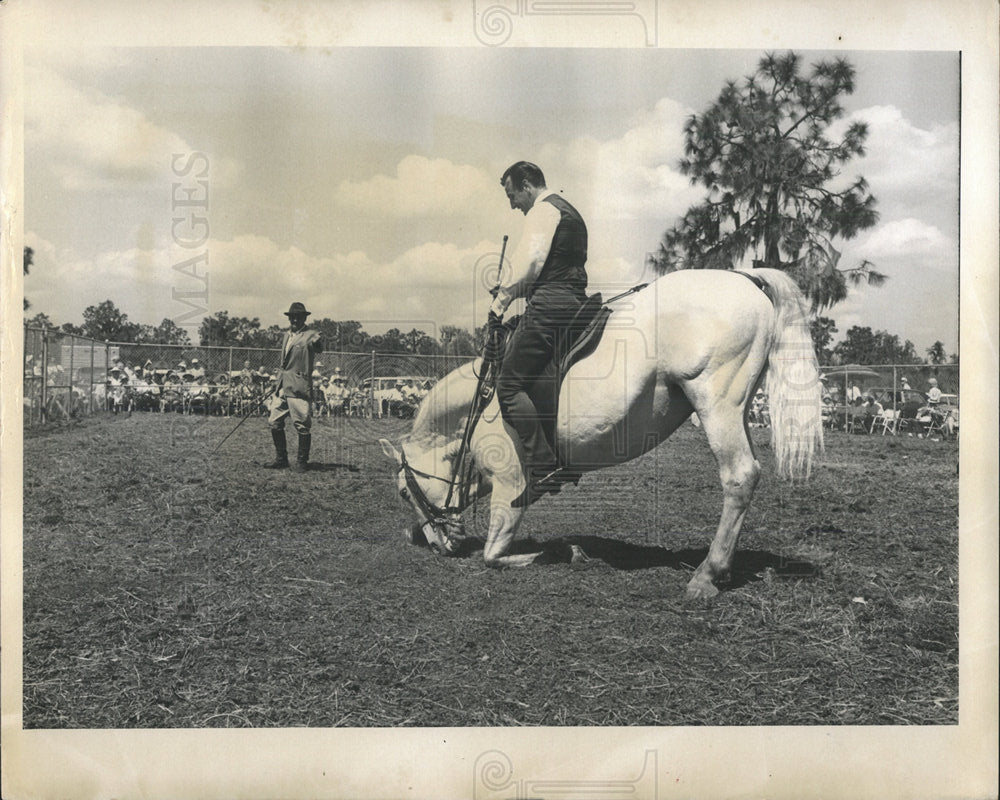 1967 Press Photo man rides Lipizzaner horse - Historic Images