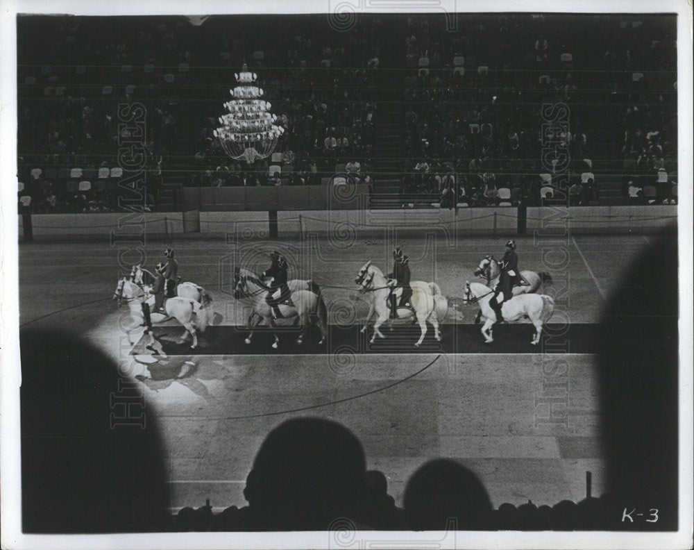 1971 Press Photo Lipizzaner horse perform show - Historic Images