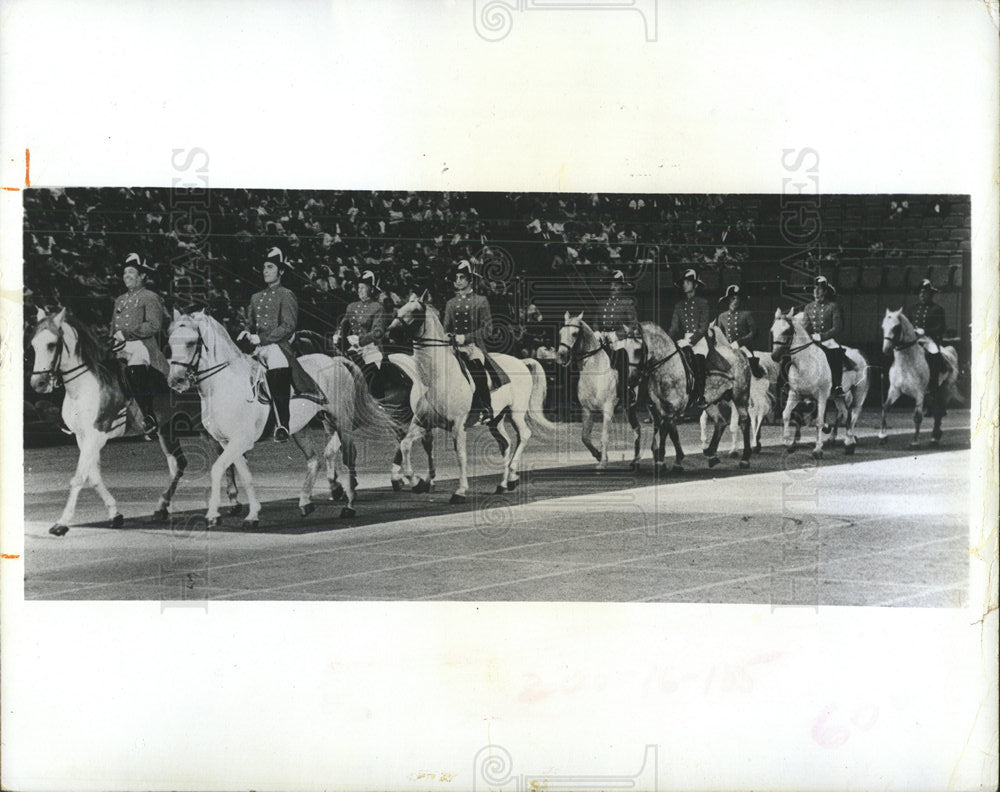 1972 Press Photo Royal Lipizzan stallions on parade - Historic Images