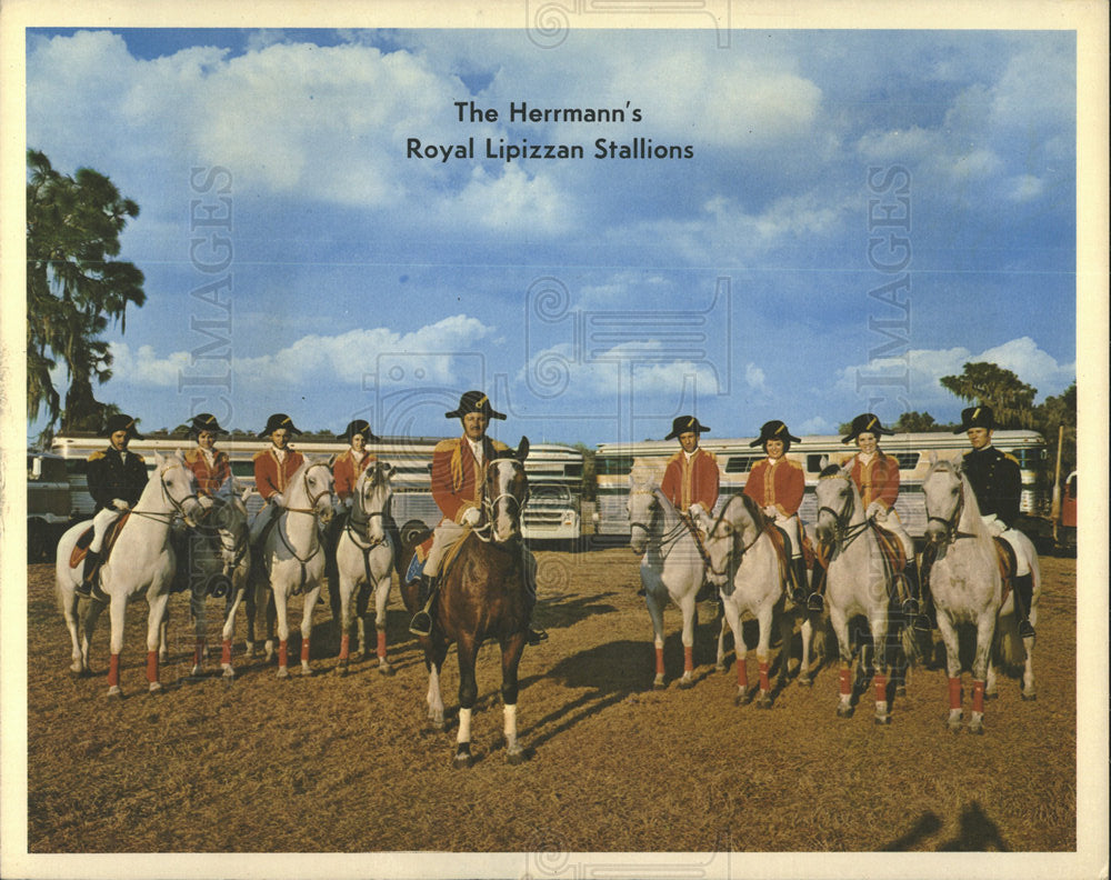 Press Photo Hermann Lipizzan Stallions Family Affair - Historic Images