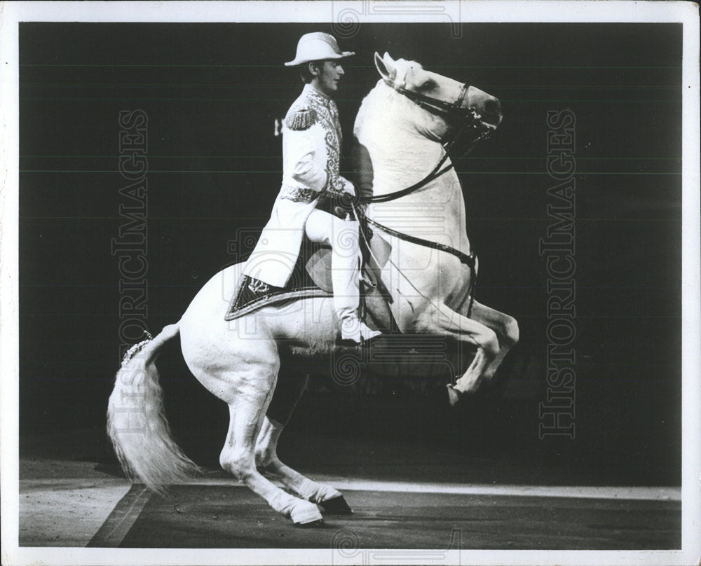 1974 Press Photo Royal Lipizzan Stallion Show Horses - Historic Images