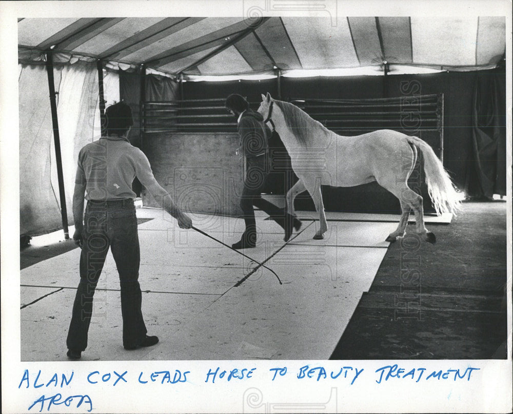 1977 Press Photo Alan Cox Lippizzan Stallion - Historic Images