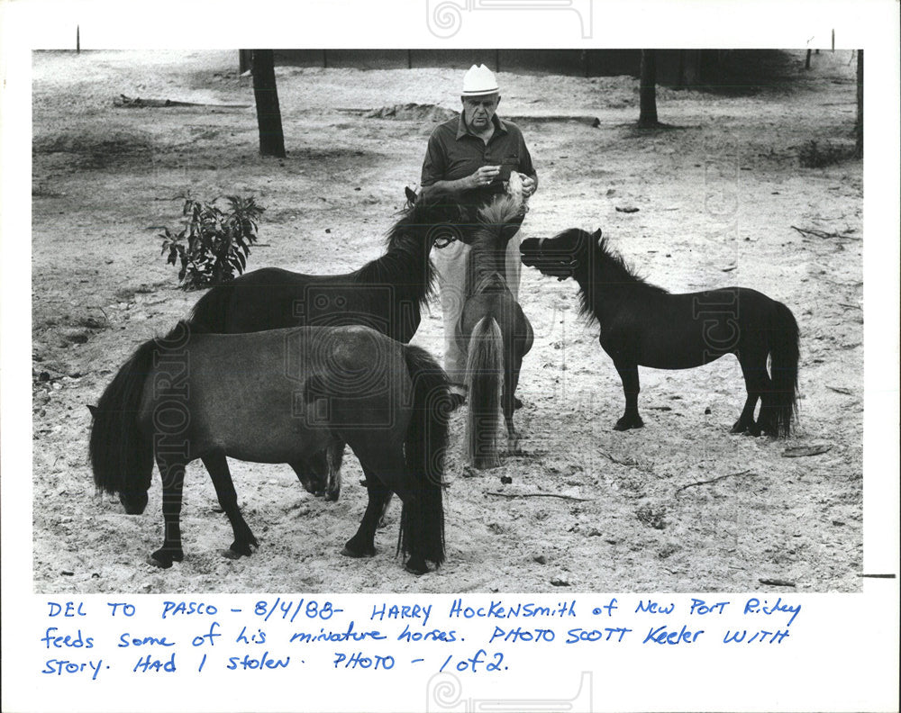 1988 Press Photo Harry Hockensmith miniature horses - Historic Images