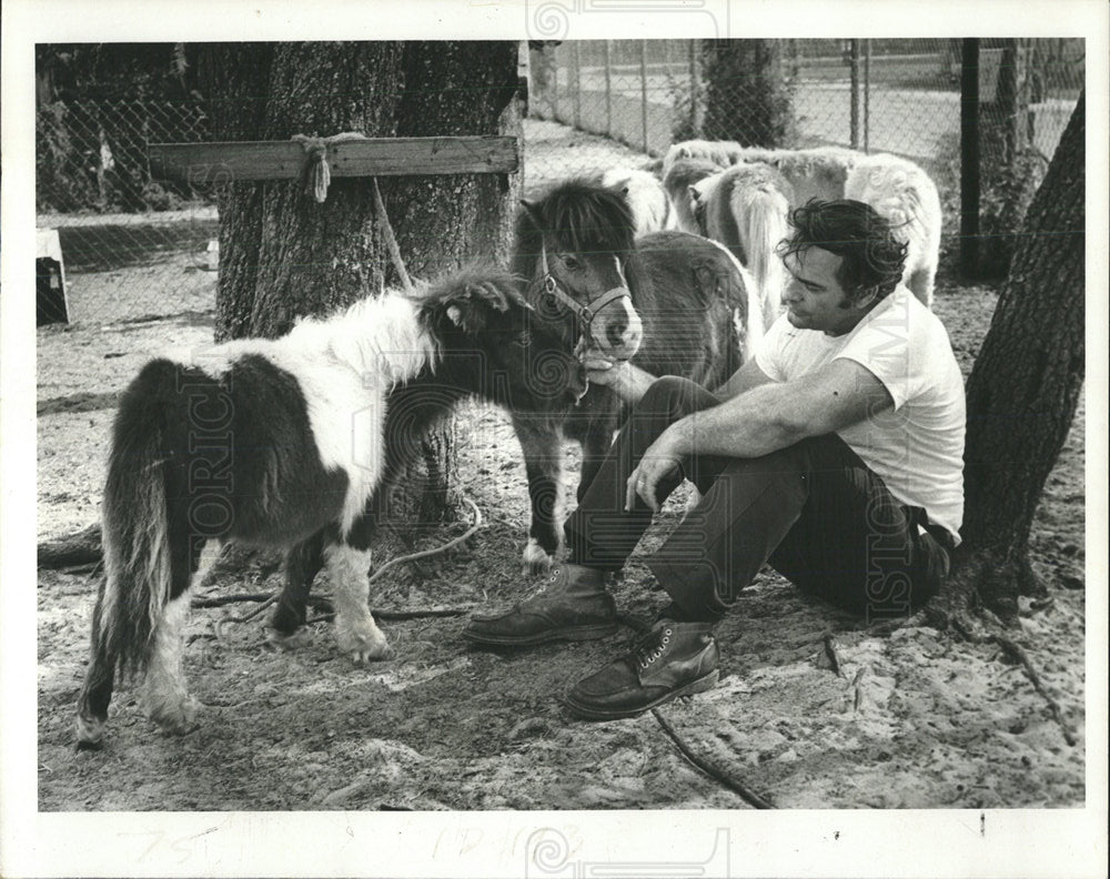 1979 Press Photo Miniature Horse Show - Historic Images