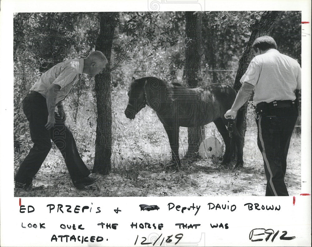 1995 Press Photo Prezpie deputy Brown Sugar pony attack - Historic Images