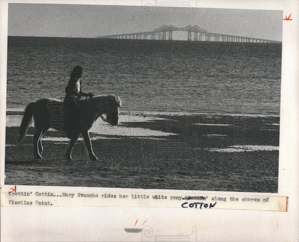 1976 Press Photo Mary Evancho White Pony Cotton - Historic Images