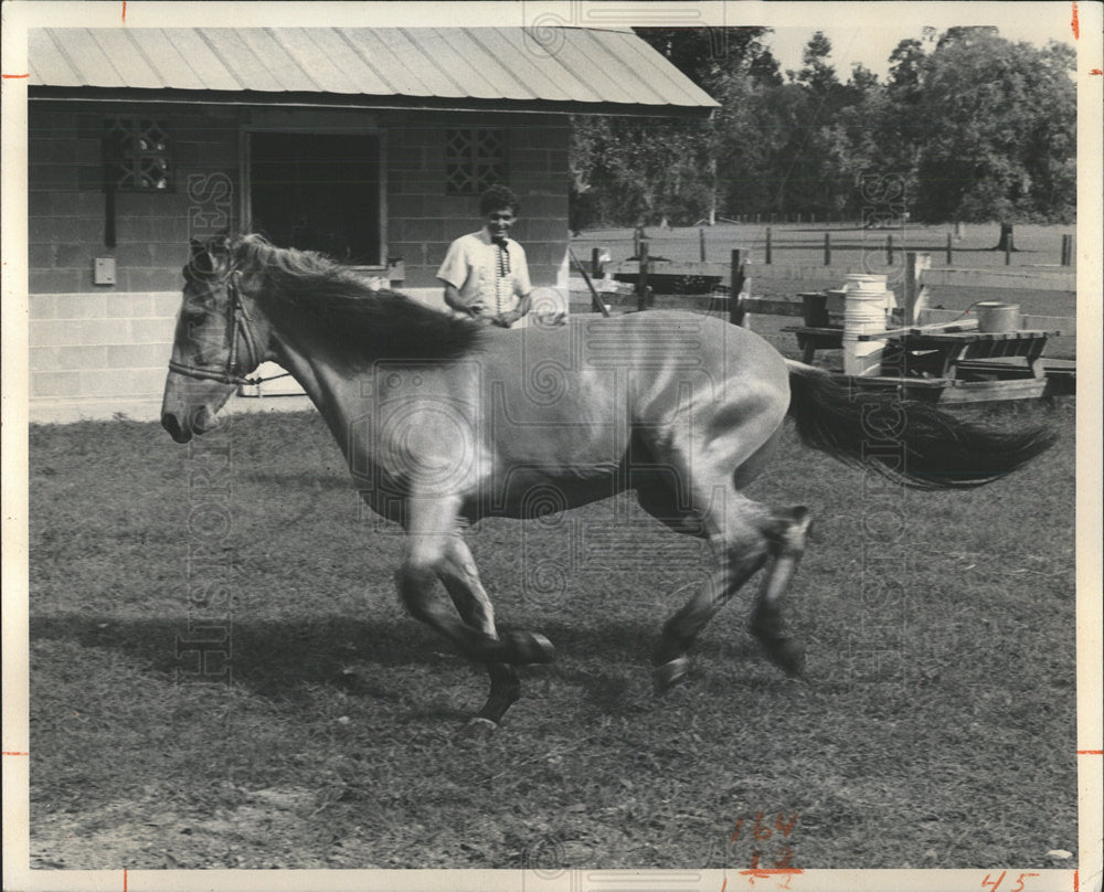 1974 Press Photo horse runs - Historic Images