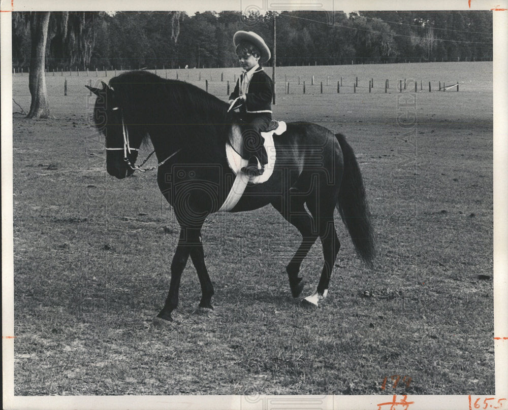 1974 Press Photo HORSE - Historic Images