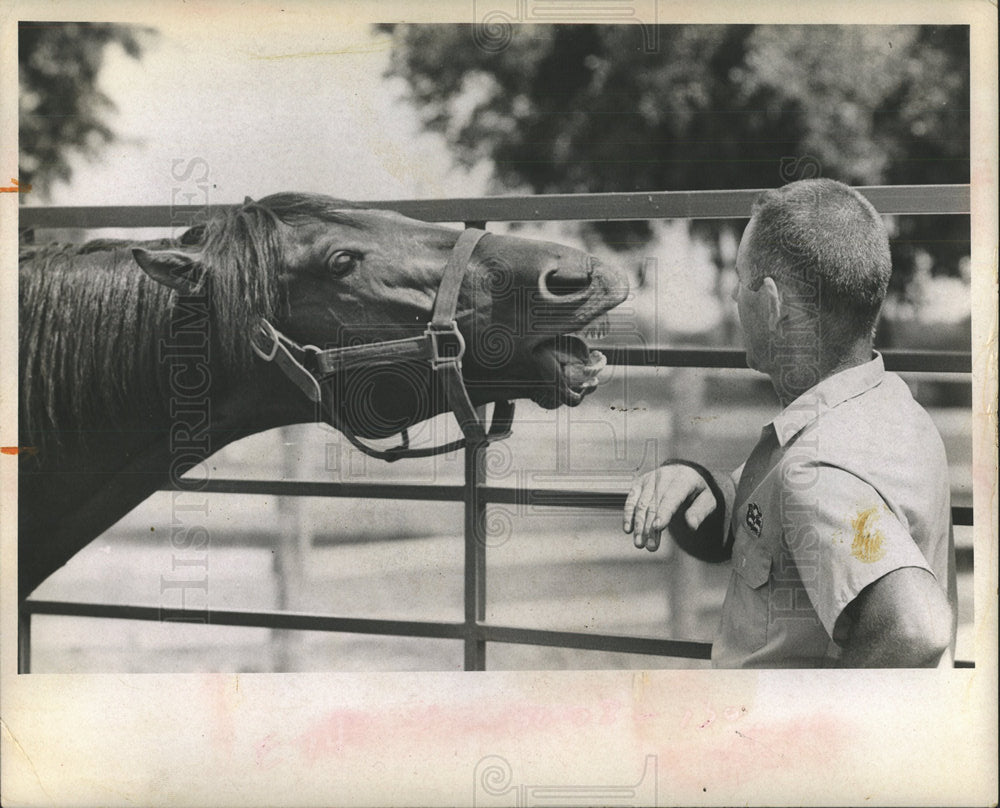 1971 Press Photo John Wilson horse owner vandals - Historic Images