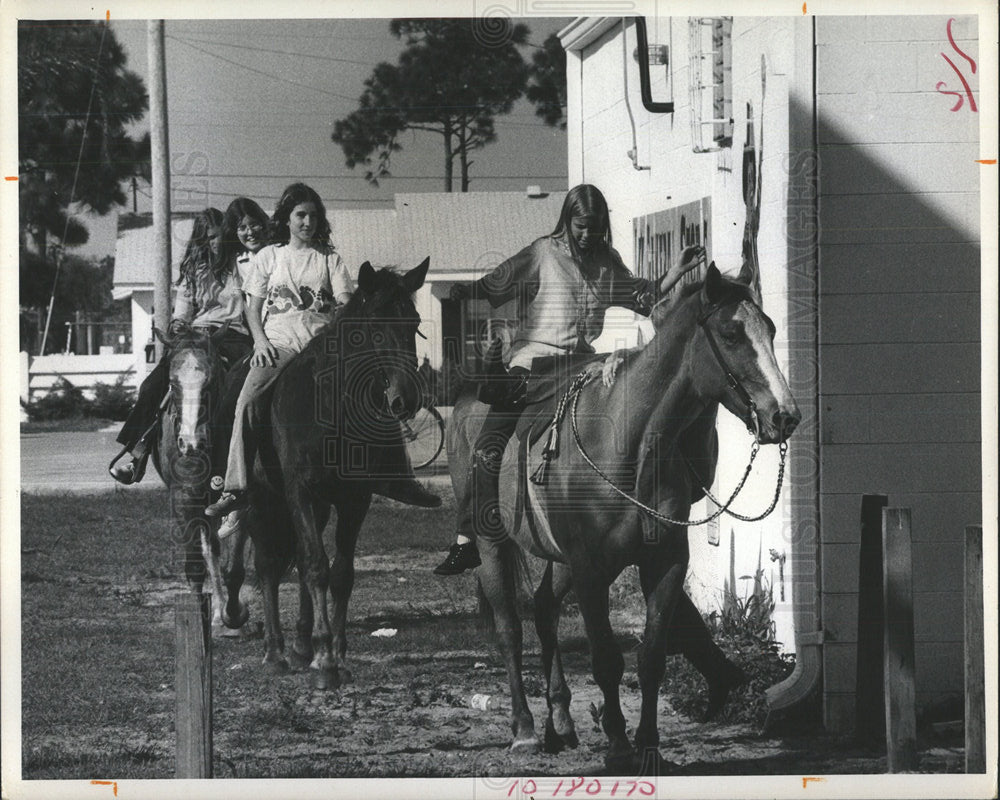 1972 Press Photo Horses - Historic Images