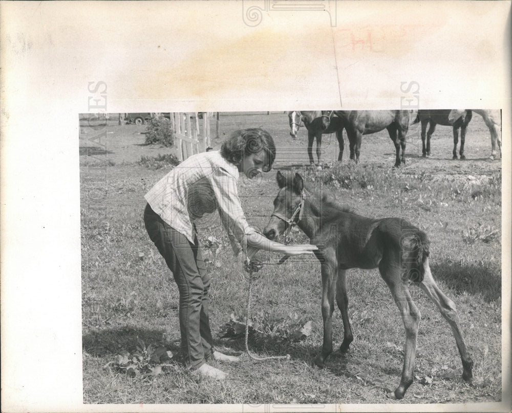 1969 Press Photo Cammarano 3 day-old foal April&#39;s Child - Historic Images