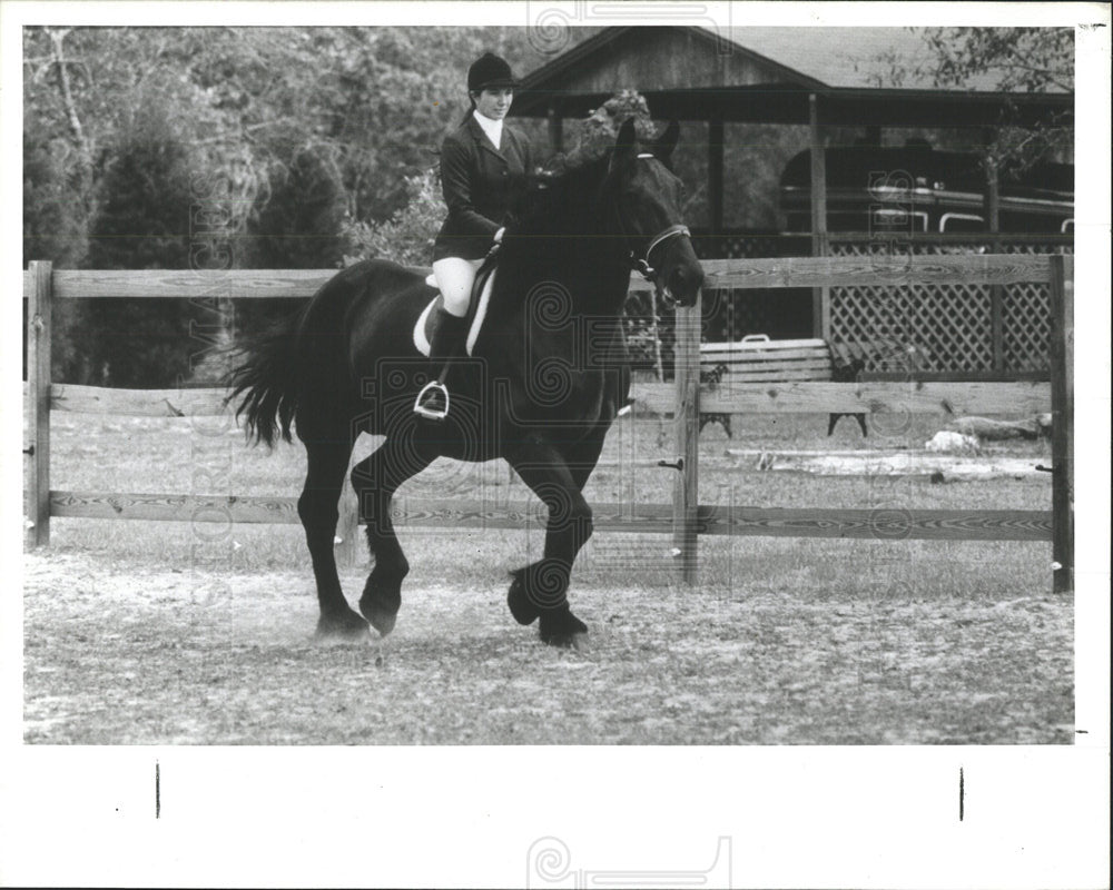 1988 Press Photo Draft Horse - Historic Images