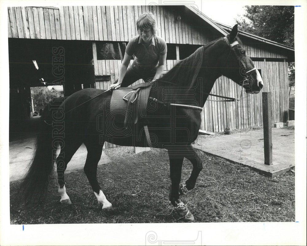 1981 Press Photo Walking Horse Azalea&#39;s Shadow - Historic Images