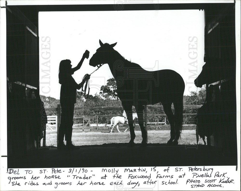 1990 Press Photo MOLLY MARTIN GROOMING HORSE - Historic Images