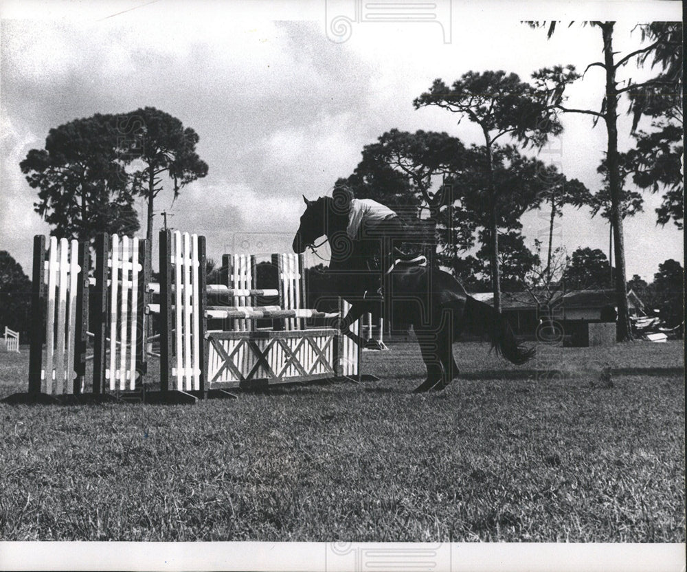 1972 Press Photo Horse Attempting Jump - Historic Images