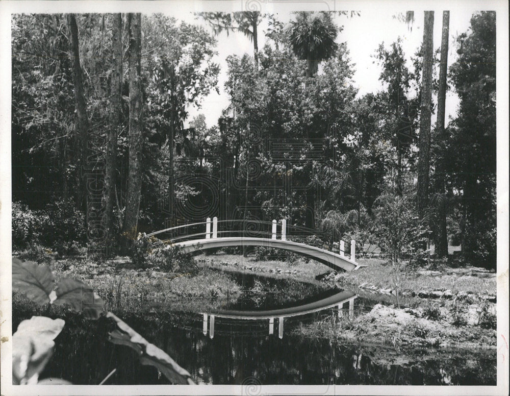 1953 Press Photo Ponce De Leon Springs State Park - Historic Images