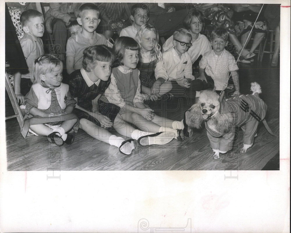 1965 Press Photo Petit Noel Poodle Parade Doggie Buffet - Historic Images