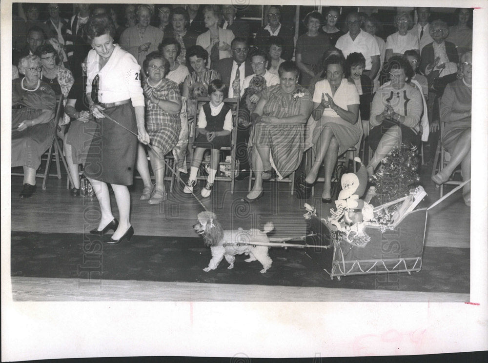 1965 Press Photo Monsiur Pepe 4th annual Poodle Parade - Historic Images