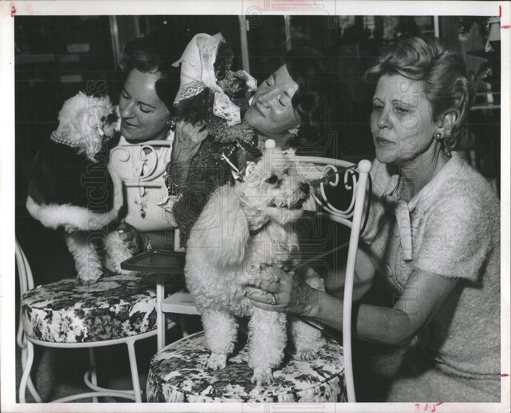 Press Photo Women and Their Dogs - Historic Images