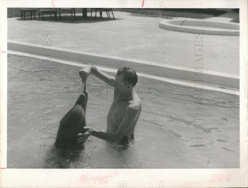 1967 Press Photo porpoise eats hand trainer - Historic Images