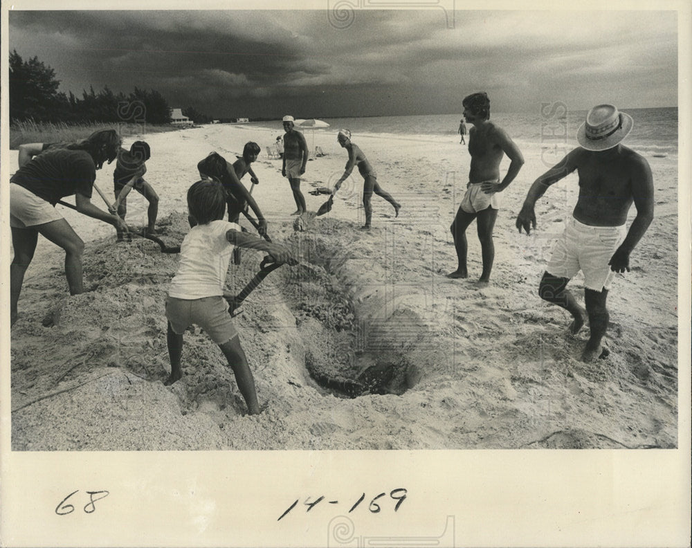 1977 Press Photo crowd beach burial porpoise ashore - Historic Images