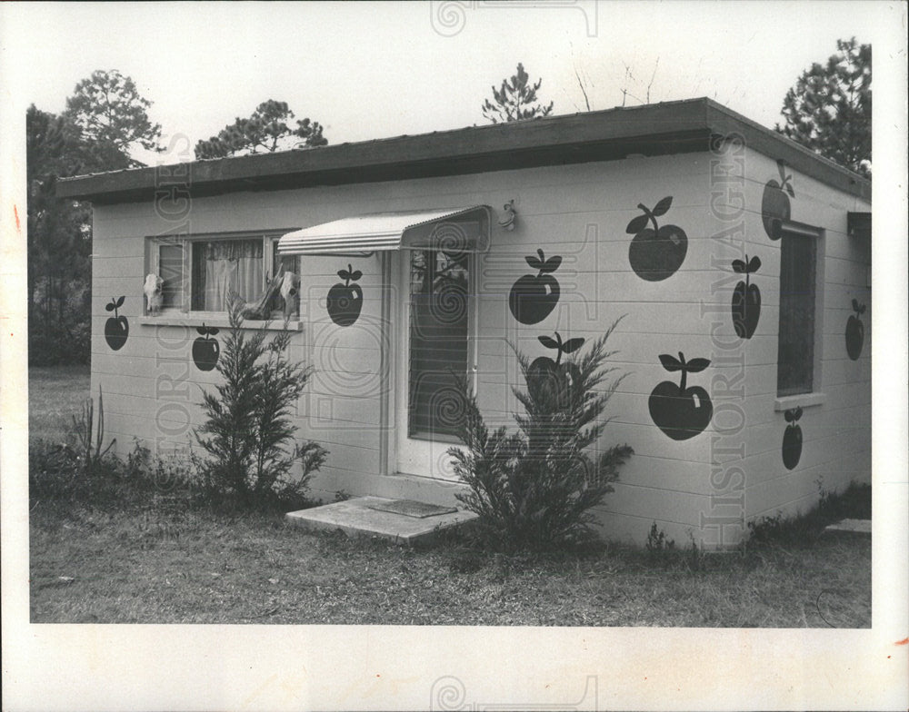 1976 Press Photo Florida Pranks Cherries Yankeetown - Historic Images