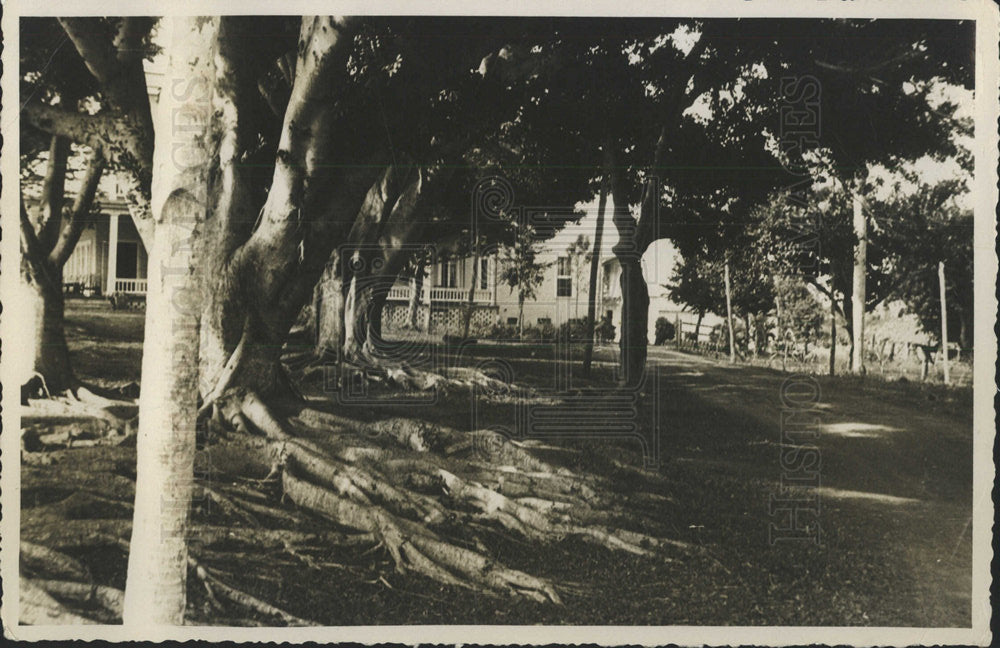 Press Photo Landscape Isle of Pines Cuba - Historic Images